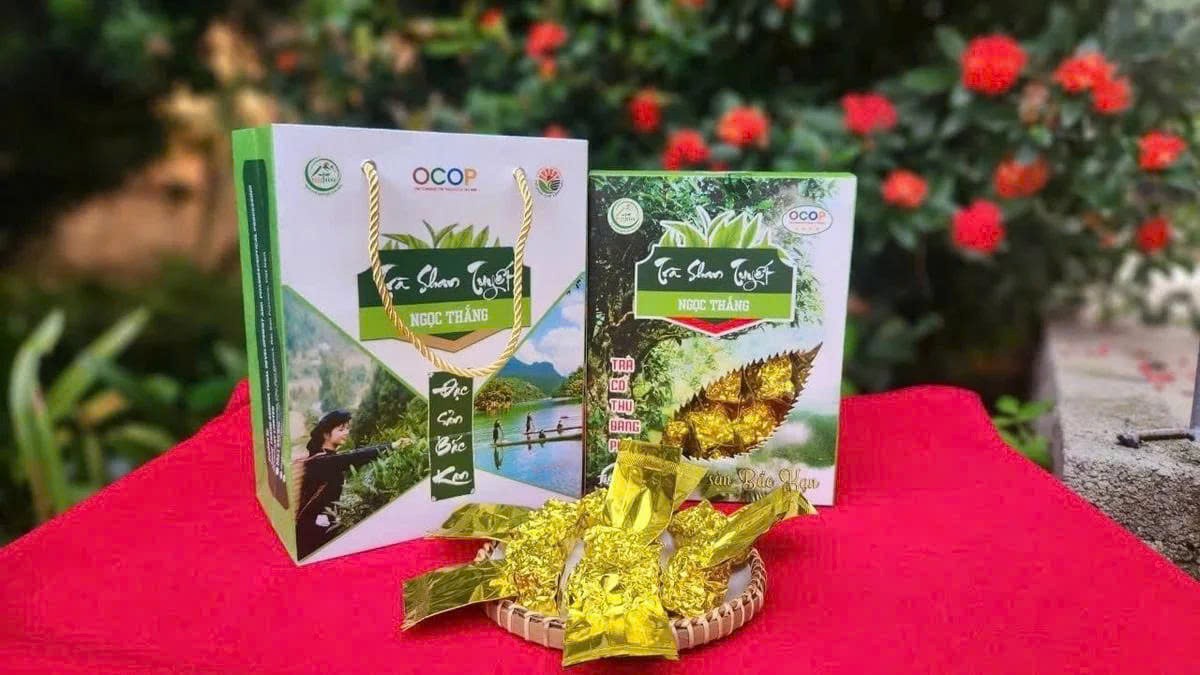 Thái Nguyên phát triển sản phẩm OCOP từ lợi thế vùng nguyên liệu Thái Nguyên phát triển sản phẩm OCOP từ lợi thế vùng nguyên liệu