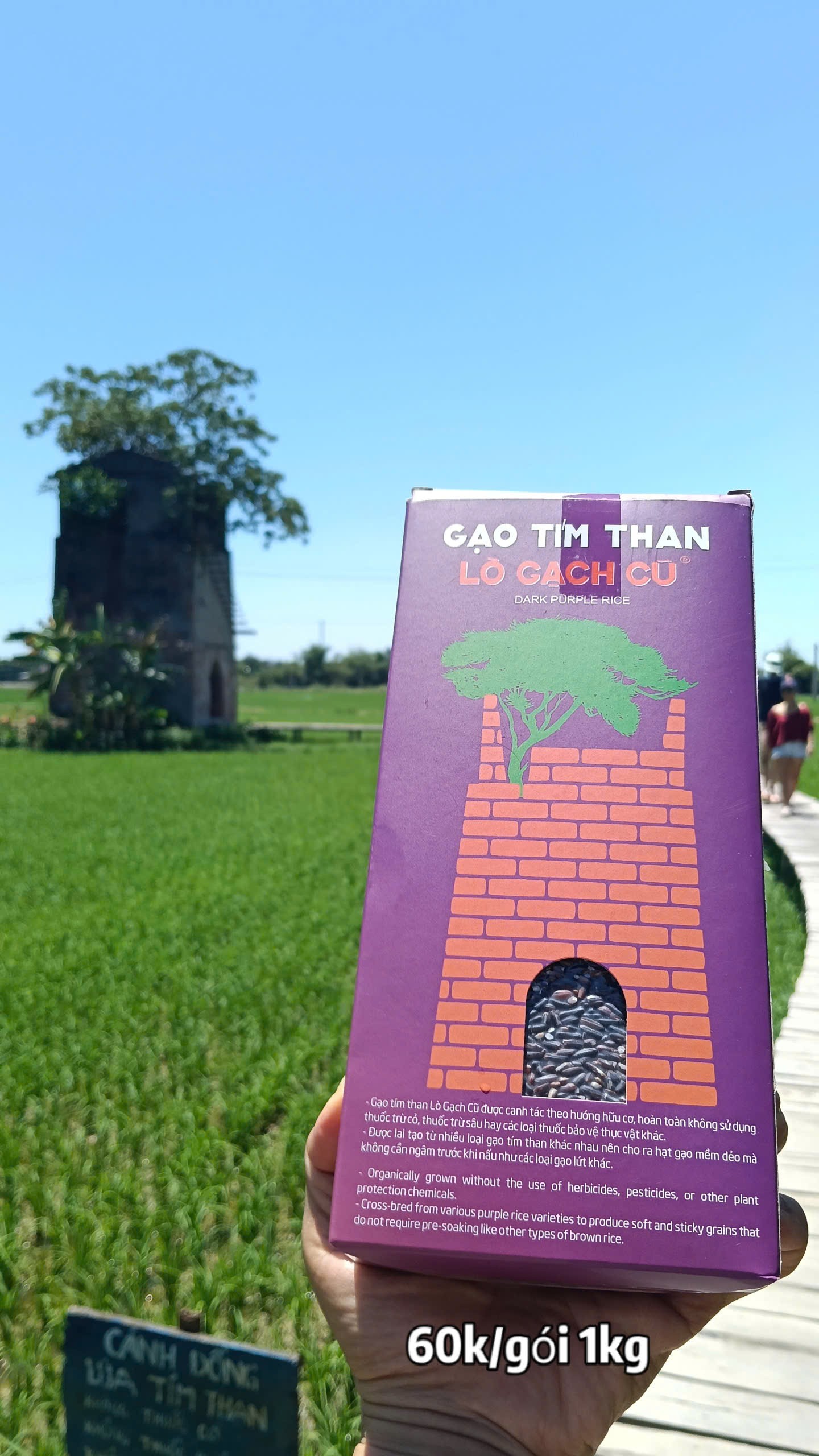 Lò gạch cũ Farm: Tái sinh phế tích bằng hệ sinh thái lúa tím than OCOP