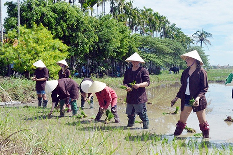 Hội thi “Điểm đến du lịch nông thôn Việt Nam tốt nhất” nhận hồ sơ đến ngày 15/10