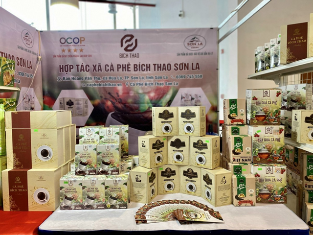 Arabica Sơn La tìm đường vào thị trường cao cấp