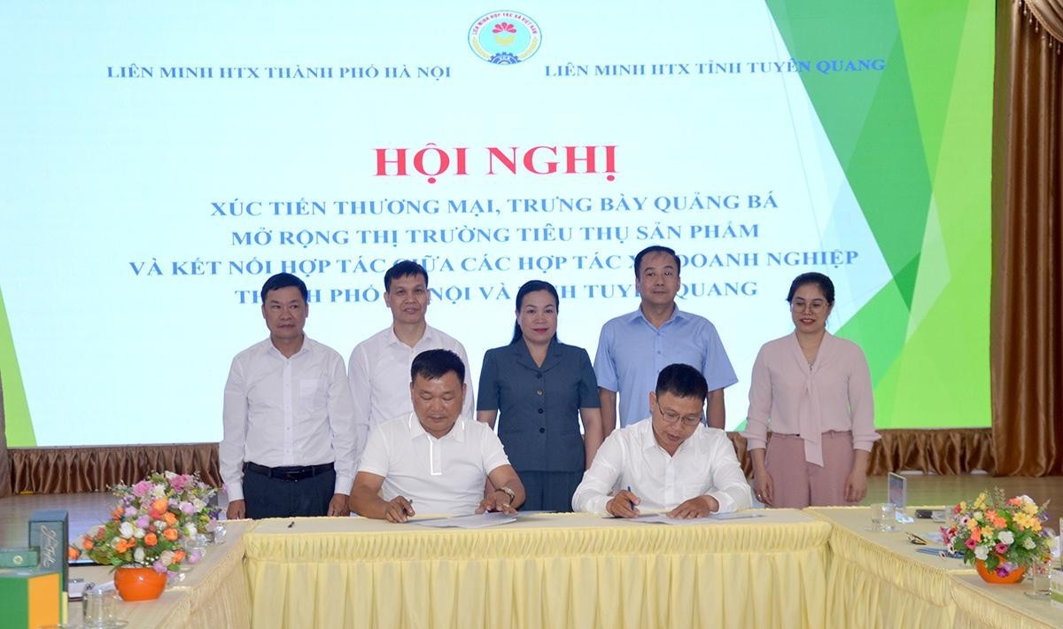 Đưa nông sản Tuyên Quang và sản phẩm OCOP chinh phục thị trường Hà Nội