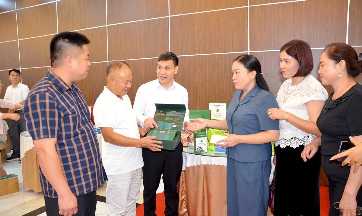 Đưa nông sản Tuyên Quang và sản phẩm OCOP chinh phục thị trường Hà Nội