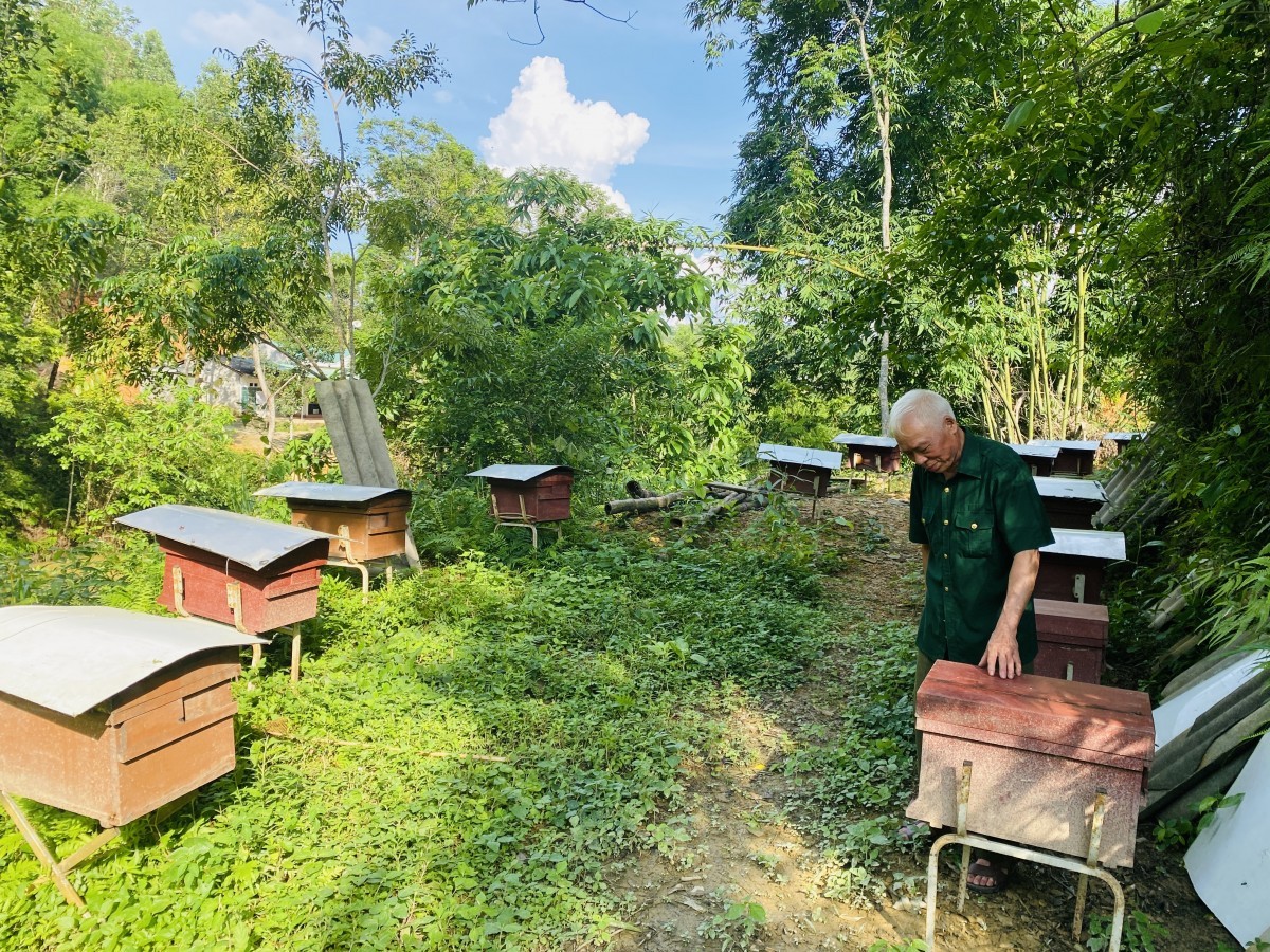 Keep the smell of flowers in the drops of Cao Bang honey