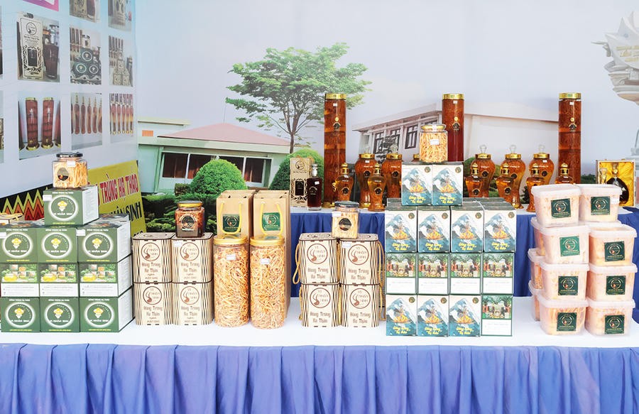 Festival OCOP Việt Nam 2026 dự kiến có khoảng 350 gian hàng tại phố đi bộ Nguyễn Huệ Festival OCOP Việt Nam 2026 dự kiến có khoảng 350 gian hàng tại phố đi bộ Nguyễn Huệ
