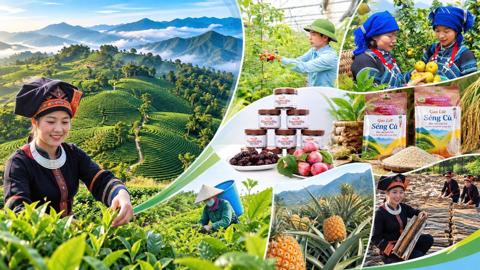 Lào Cai mở 85 gian hàng OCOP, xúc tiến thương mại lĩnh vực nông nghiệp