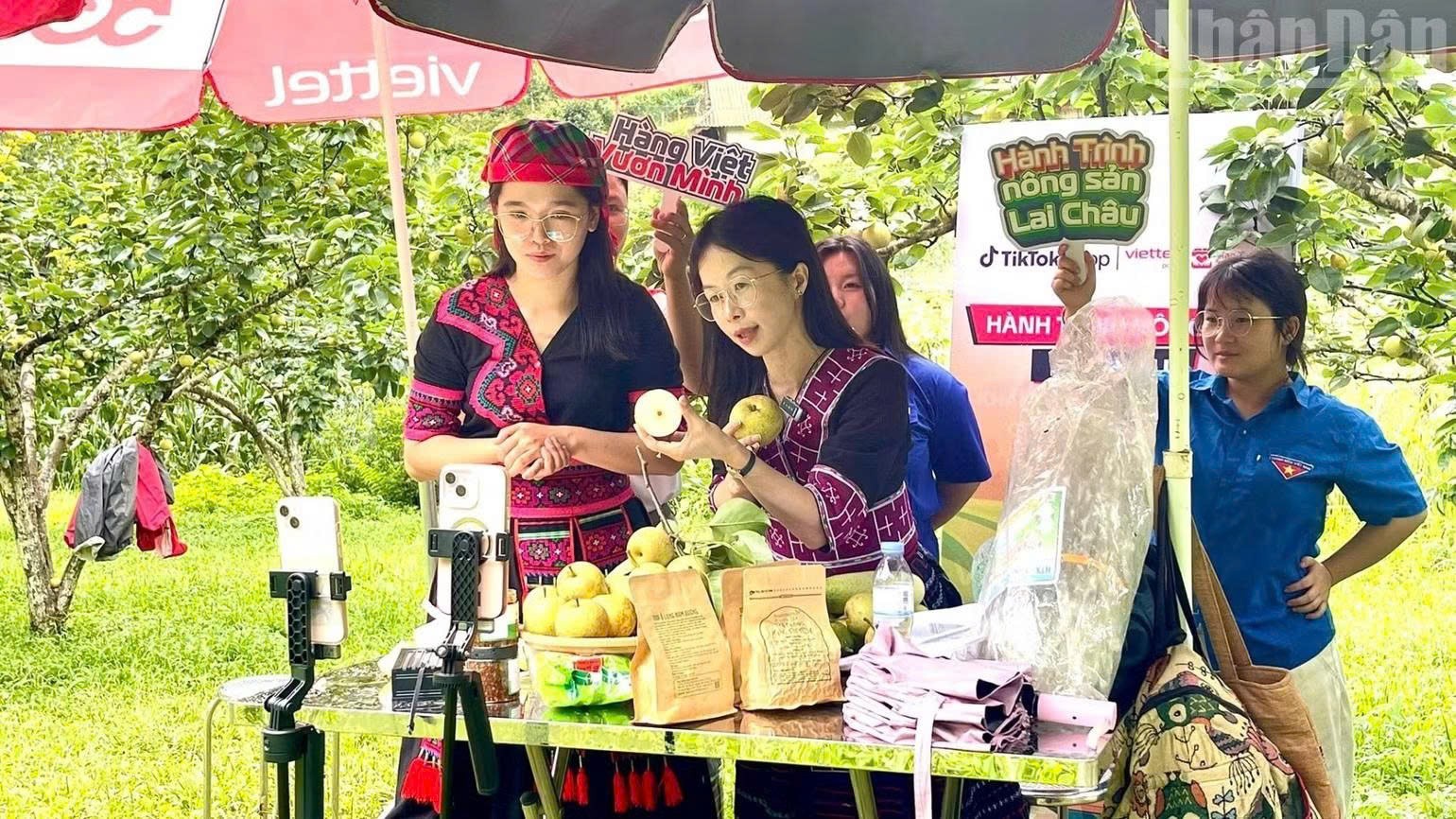 OCOP Lai Châu lên sàn thương mại điện tử, mở rộng thị trường tiêu thụ OCOP Lai Châu lên sàn thương mại điện tử, mở rộng thị trường tiêu thụ