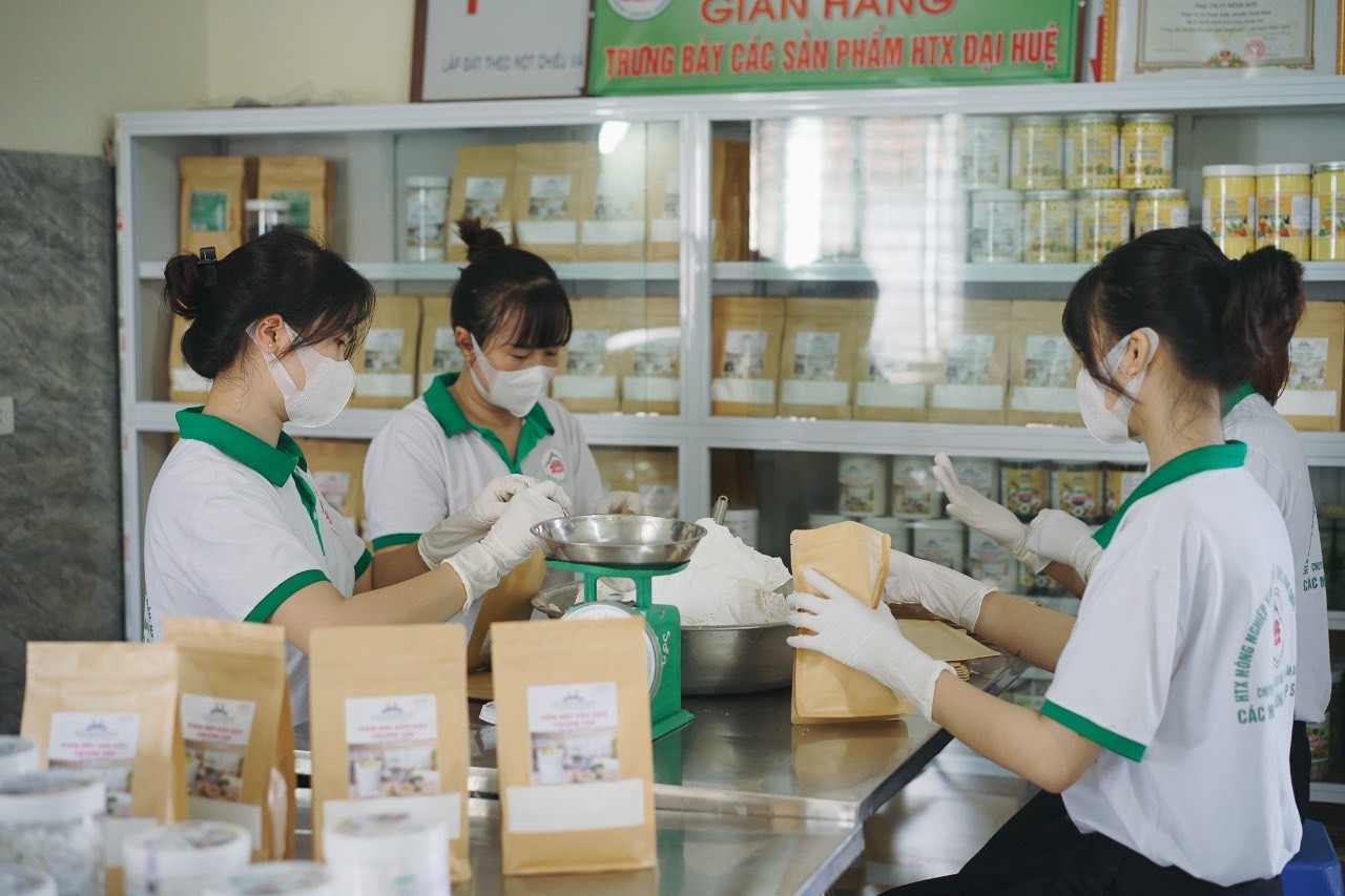 Sắn dây Đại Huệ vươn xa nhờ OCOP Sắn dây Đại Huệ vươn xa nhờ OCOP
