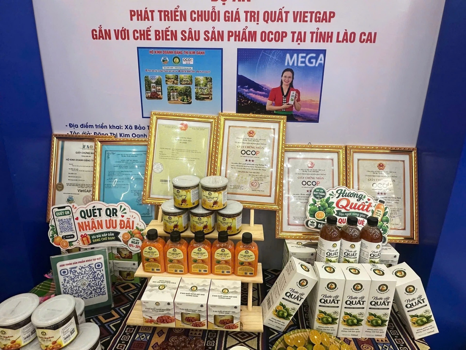 Quất VietGAP vào sân chơi OCOP Quất VietGAP vào sân chơi OCOP