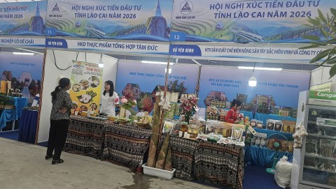 lao cai mo 85 gian hang ocop xuc tien thuong mai linh vuc nong nghiep