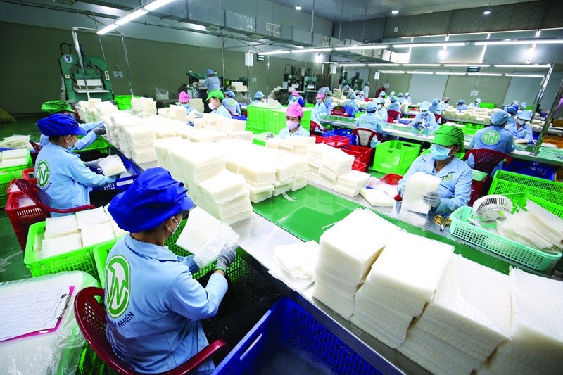 OCOP Tây Ninh: Lấy khoa học và công nghệ nâng giá trị đặc sản OCOP Tây Ninh: Lấy khoa học và công nghệ nâng giá trị đặc sản