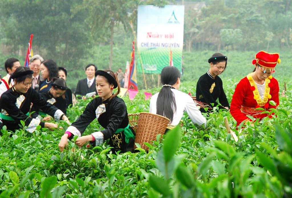 OCOP Thái Nguyên: Sáng tạo sản phẩm, vươn tầm giá trị