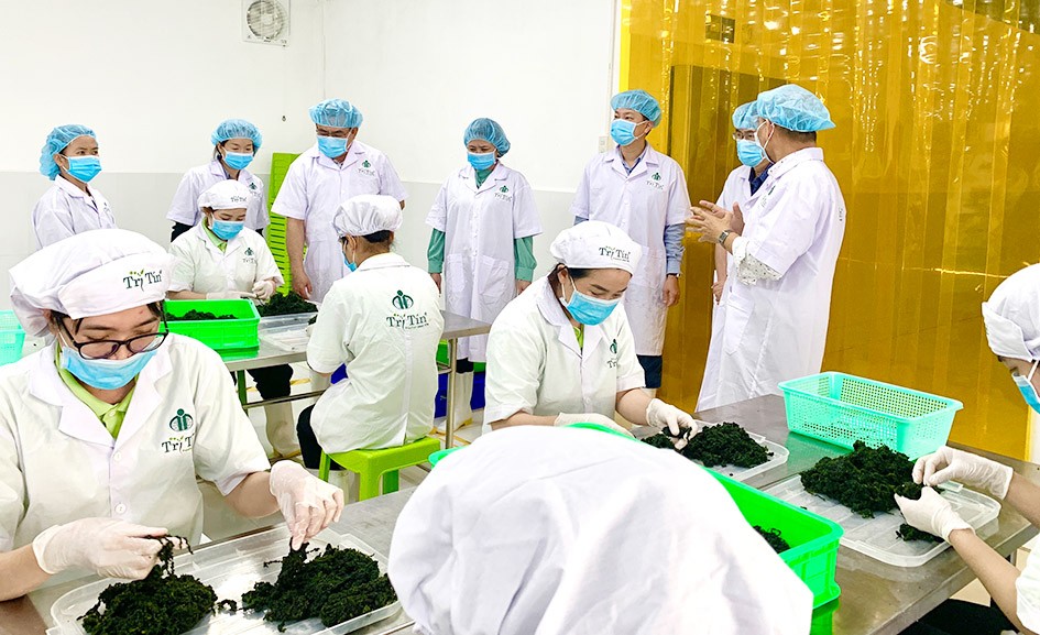 OCOP Khánh Hòa: Đưa “ngôi sao” lên kệ siêu thị