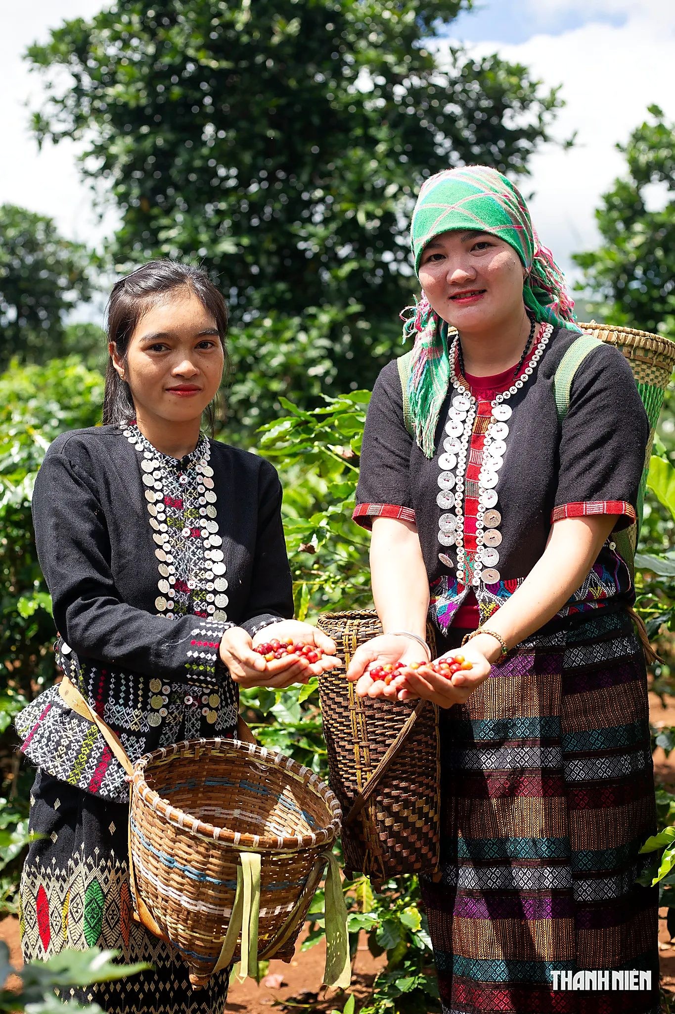100 năm cà phê Khe Sanh: Hạt cà phê đổi thay một vùng đất 100 năm cà phê Khe Sanh: Hạt cà phê đổi thay một vùng đất