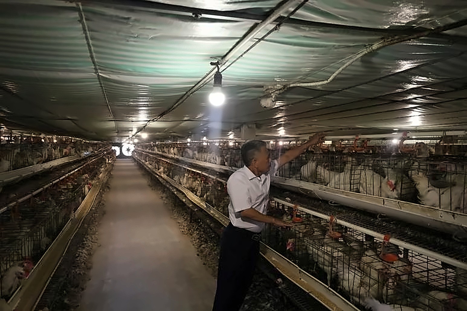 Gia Lai nâng tầm sản phẩm OCOP, mở rộng thị trường Gia Lai nâng tầm sản phẩm OCOP, mở rộng thị trường