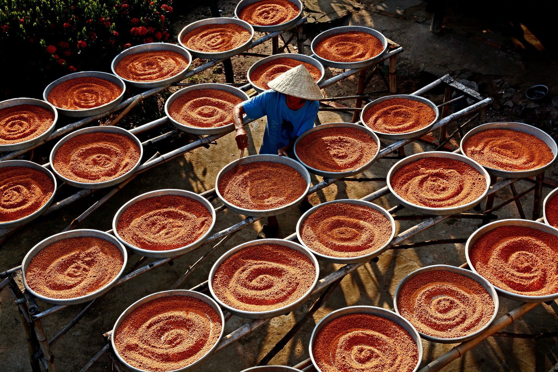 Đặc sản và văn hóa ẩm thực Tây Ninh