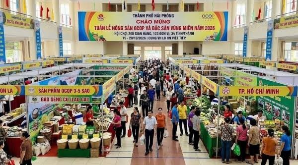 Du lịch Hải Phòng thêm sức hút từ OCOP