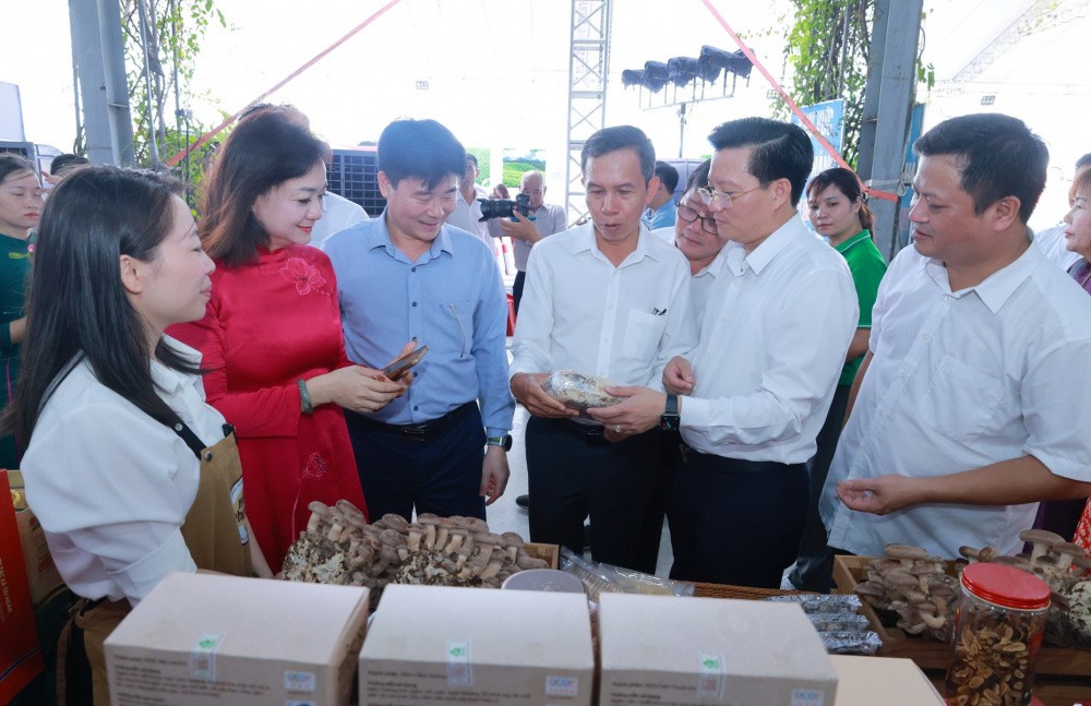 Thái Nguyên kết nối cung - cầu cho sản phẩm OCOP Thái Nguyên kết nối cung - cầu cho sản phẩm OCOP