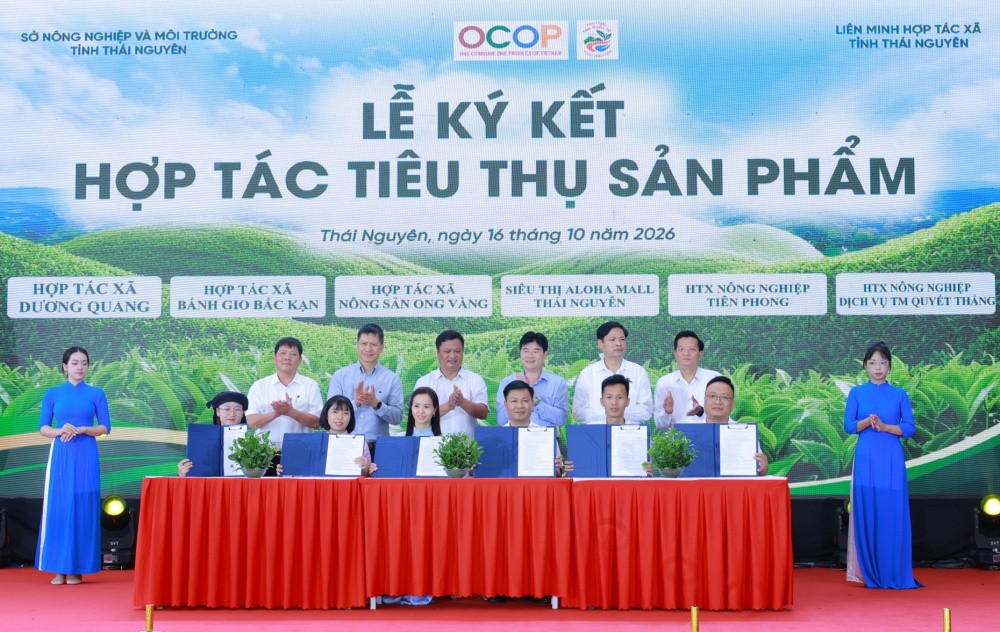 Thái Nguyên kết nối cung - cầu cho sản phẩm OCOP Thái Nguyên kết nối cung - cầu cho sản phẩm OCOP