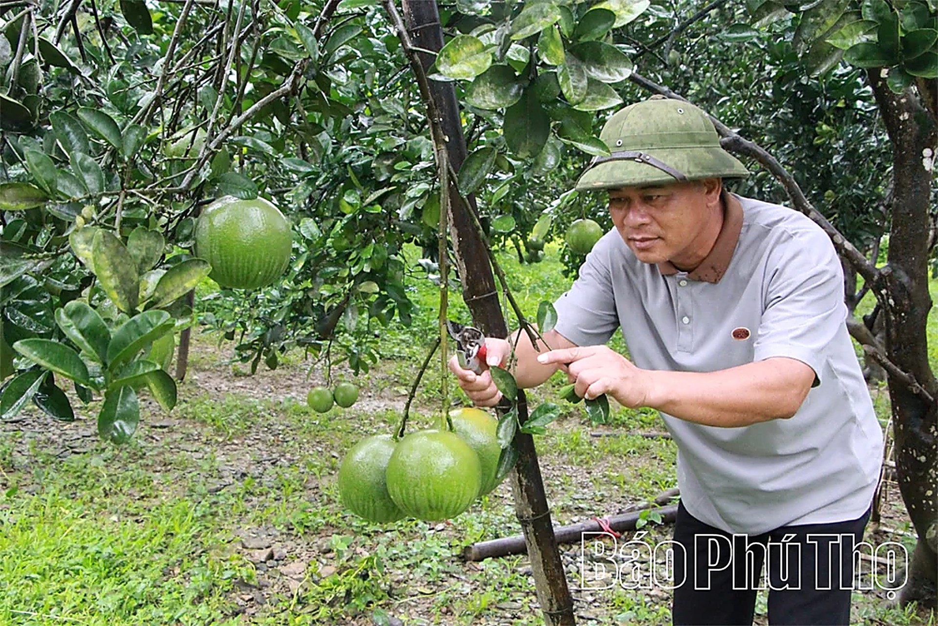 Thượng Long gắn bảo tồn văn hóa với phát triển du lịch Thượng Long gắn bảo tồn văn hóa với phát triển du lịch