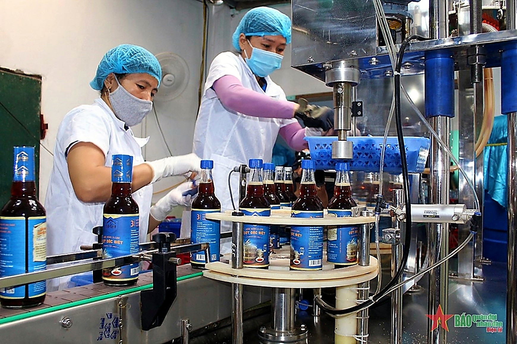 OCOP xứ Thanh: Hoàn thiện chuỗi từ sản xuất đến thị trường