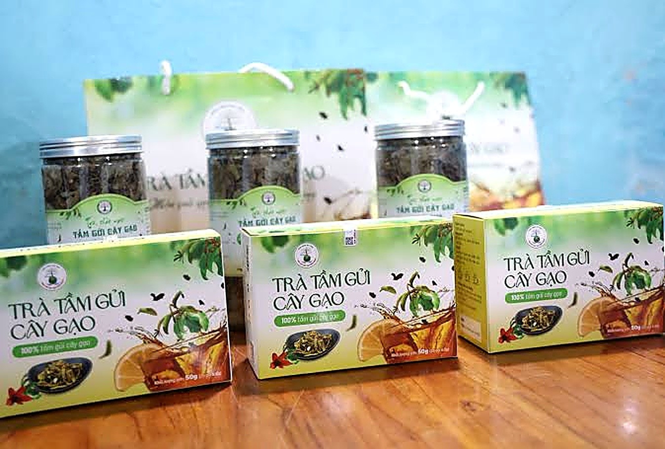 Tầm gửi cây gạo: Từ “lộc trời” đến sản phẩm OCOP Tầm gửi cây gạo: Từ “lộc trời” đến sản phẩm OCOP