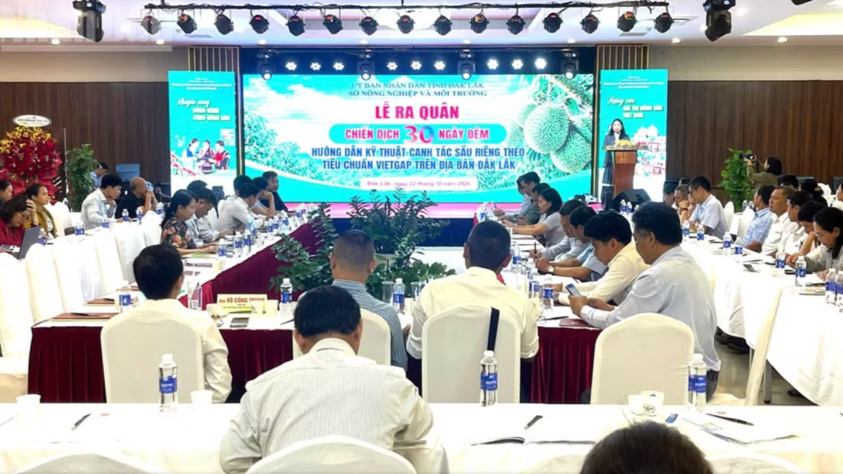 Đắk Lắk ra quân hướng dẫn trồng sầu riêng VietGAP Đắk Lắk ra quân hướng dẫn trồng sầu riêng VietGAP