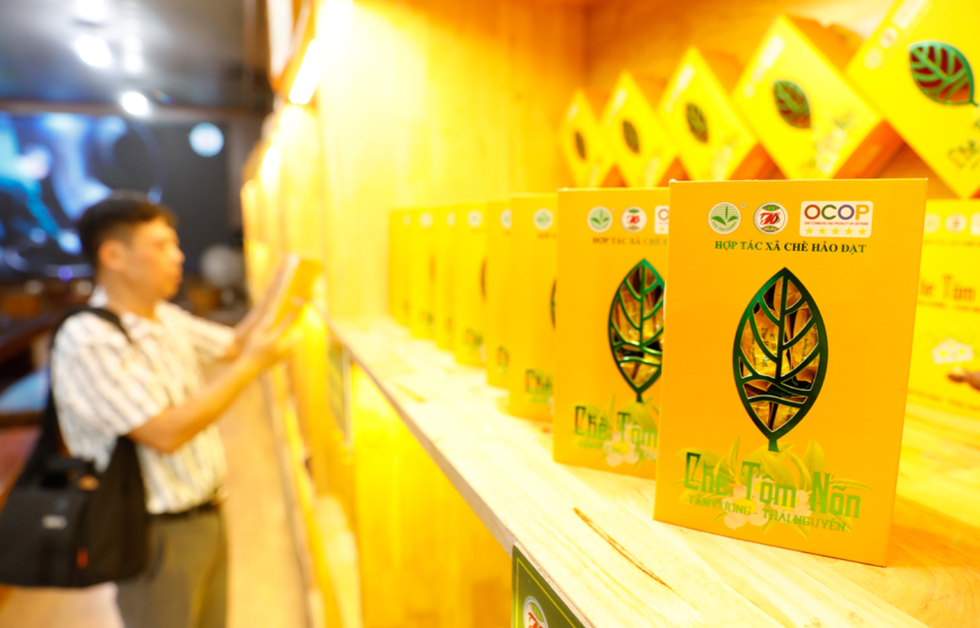 Hảo Đạt: Giữ hồn chè Tân Cương bằng cách làm hiện đại