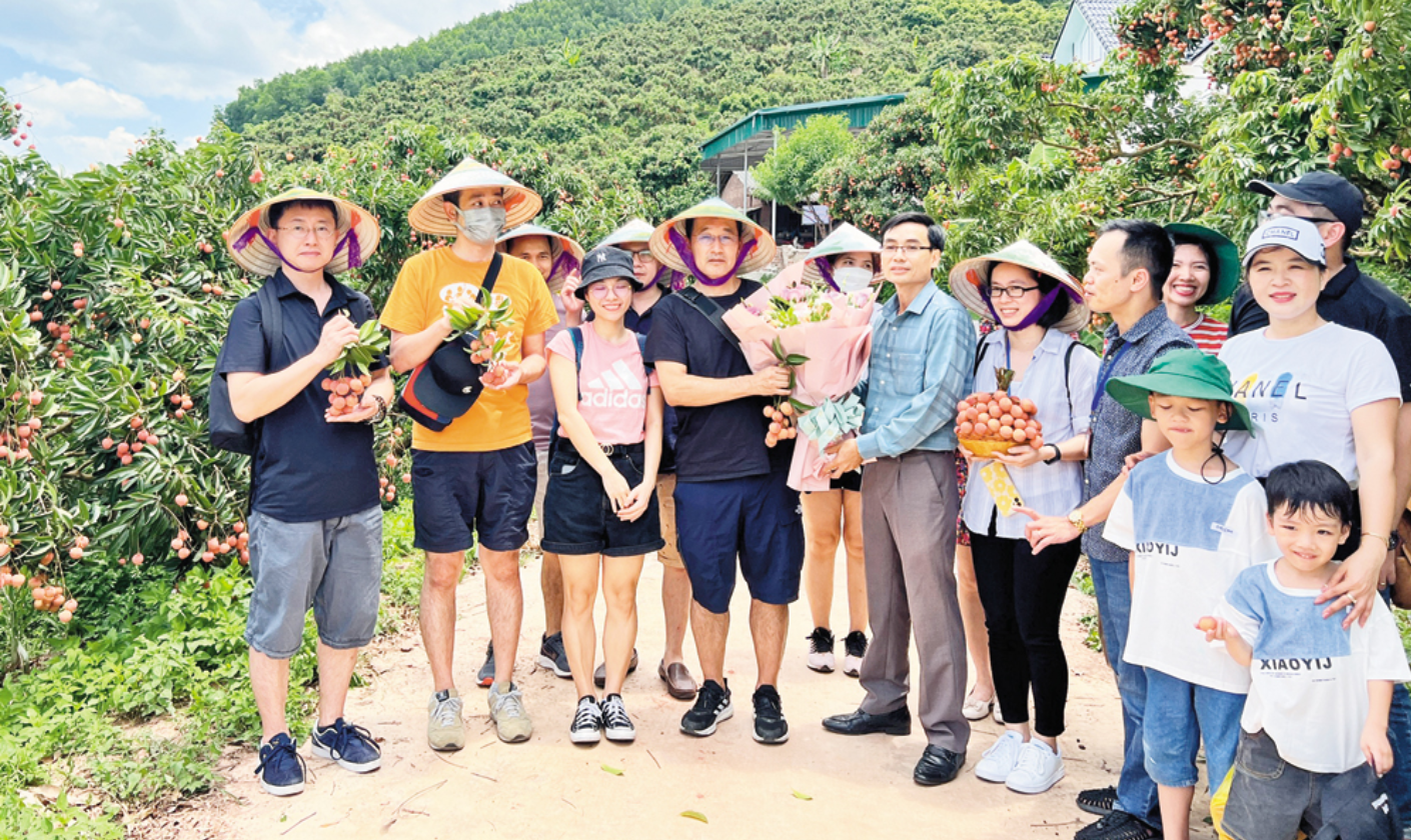 Bắc Ninh: Nâng chất sản phẩm OCOP, mở hướng cho kinh tế nông thôn Bắc Ninh: Nâng chất sản phẩm OCOP, mở hướng cho kinh tế nông thôn