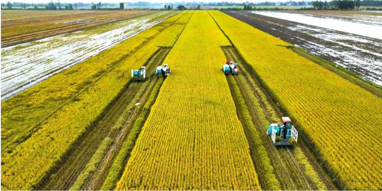 APEC 2027: Việt Nam đặt trọng tâm nông nghiệp xanh và an ninh lương thực