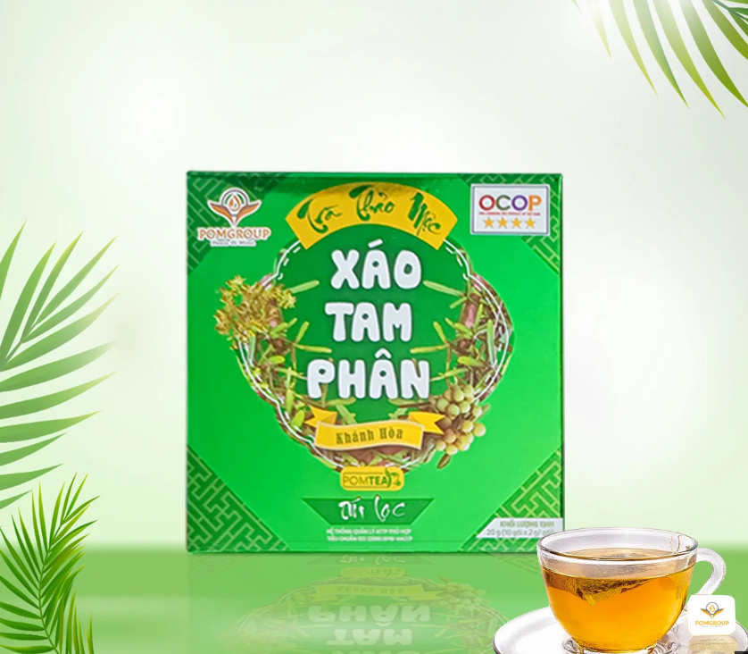 Trồng xáo tam phân, nông dân Khánh Hòa có thêm hướng làm giàu từ cây dược liệu Trồng xáo tam phân, nông dân Khánh Hòa có thêm hướng làm giàu từ cây dược liệu