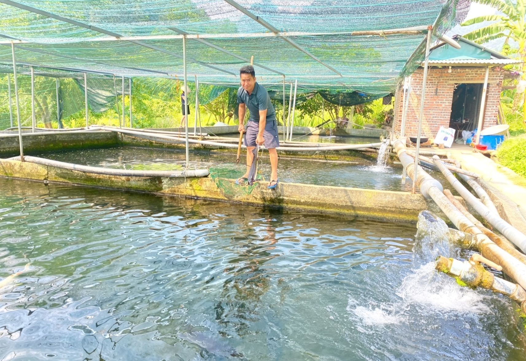 Người nông dân đánh thức Người nông dân đánh thức