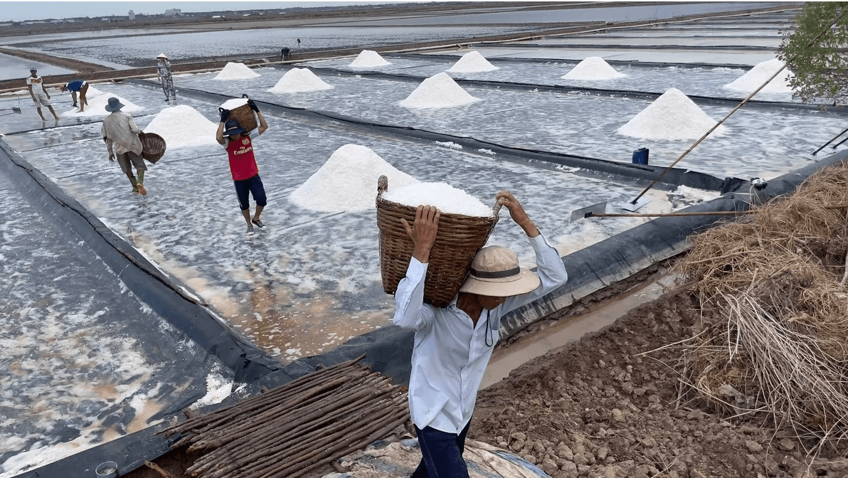 Nâng chất nghề muối di sản ở Cà Mau