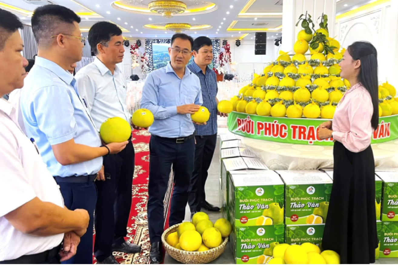 Hà Tĩnh: Quy hoạch nông thôn theo bản đồ vùng nguyên liệu