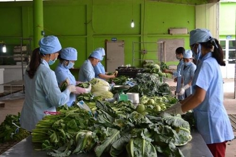 phat trien chuoi nong san an toan ha noi di dau ca nuoc