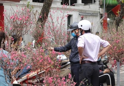 ha noi to chuc 78 diem cho hoa xuan phuc vu nguoi dan dip tet nham dan 2022
