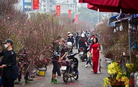 ha noi to chuc 91 diem cho hoa xuan trong dip tet nguyen dan 2023 phuc vu nguoi dan