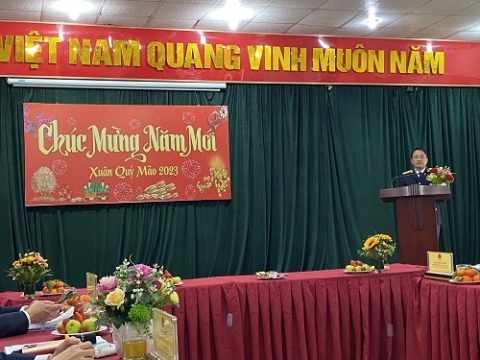 nam 2022 cuc thue thanh pho ha noi thu ngan sach nha nuoc tren 306 nghin ty dong
