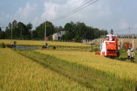 thai binh khoi sac nong thon moi