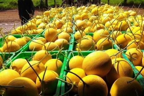 ket noi phan phoi tieu thu nong san tinh hoa hang viet