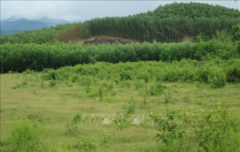 doi thay noi vung nong thon moi mien nui dau tien cua khanh hoa