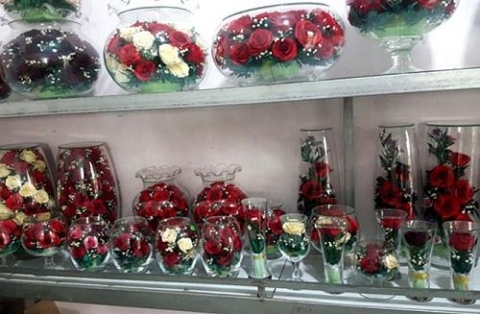 lang hoa ha lung hai phong