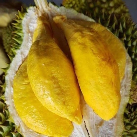 khanh hoa huyen khanh linh co 9 san pham dang ky chuong trinh ocop