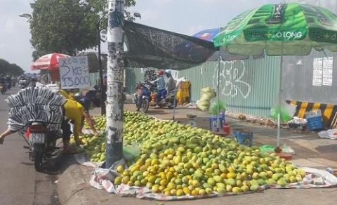 lien ket doanh nghiep hop tac xa trong tieu thu hang hoa