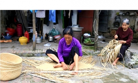 thai binh lang nghe coi tay an vuon ra thi truong