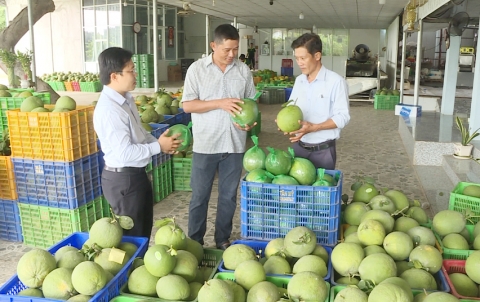 binh duong thuc day tieu thu san pham ocop