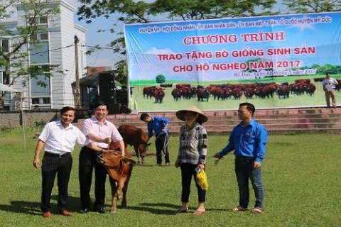 huyen my duc ha noi trao tang 150 con bo giong sinh san cho nguoi ngheo