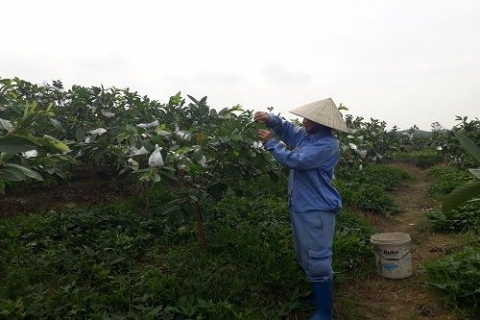 huyen thach thanh thanh hoa nhung chuyen bien trong xay dung nong thon moi