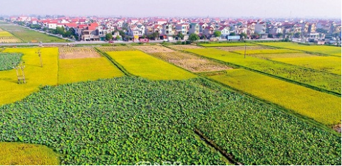 nghe lam huong xa quoc tuan huyen nam sach tinh hai duong