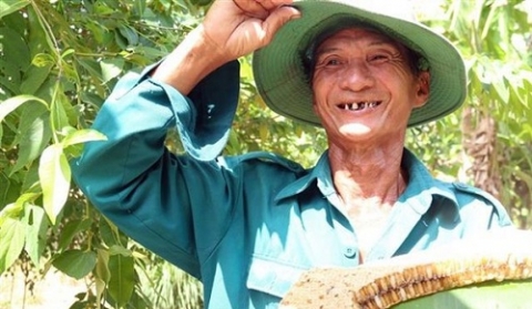 dam da mat ong rung u minh thuong