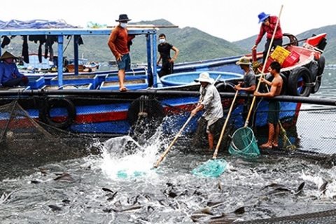 khanh hoa nhieu mo hinh khuyen nong chat luong